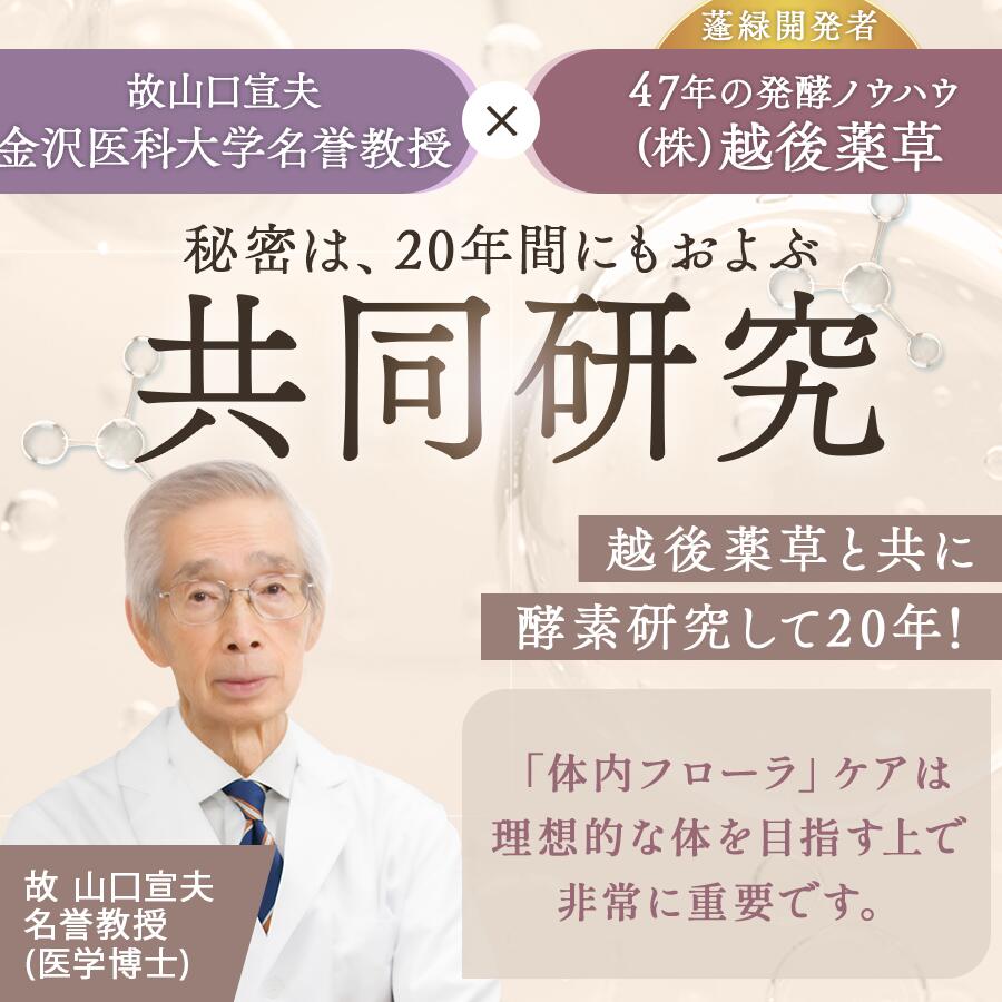 【定期便　年3回配送】越後酵素蓬緑 720ml×1 ファスティングドリンク 酵素ドリンク 無添加 ダイエットドリンク 置き換えダイエット 朝ごはん 健康ドリンク 断食 プチ断食 ダイエット 置き換え 植物発酵エキス 日本製