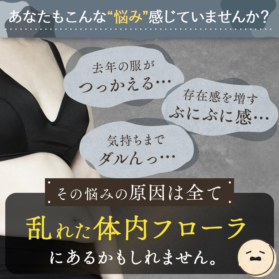 【定期便　年3回配送】越後酵素蓬緑 720ml×1 ファスティングドリンク 酵素ドリンク 無添加 ダイエットドリンク 置き換えダイエット 朝ごはん 健康ドリンク 断食 プチ断食 ダイエット 置き換え 植物発酵エキス 日本製