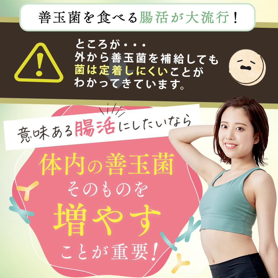 【定期便　年3回配送】越後酵素蓬緑 720ml×1 ファスティングドリンク 酵素ドリンク 無添加 ダイエットドリンク 置き換えダイエット 朝ごはん 健康ドリンク 断食 プチ断食 ダイエット 置き換え 植物発酵エキス 日本製