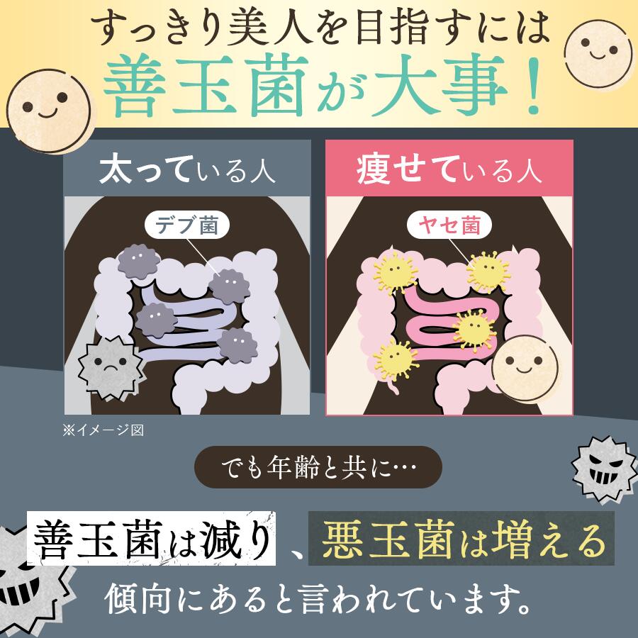 【定期便　年12回配送】越後酵素蓬緑 720ml×1 ファスティングドリンク 酵素ドリンク 無添加 ダイエットドリンク 置き換えダイエット 朝ごはん 健康ドリンク 断食 プチ断食 ダイエット 置き換え 植物発酵エキス 日本製