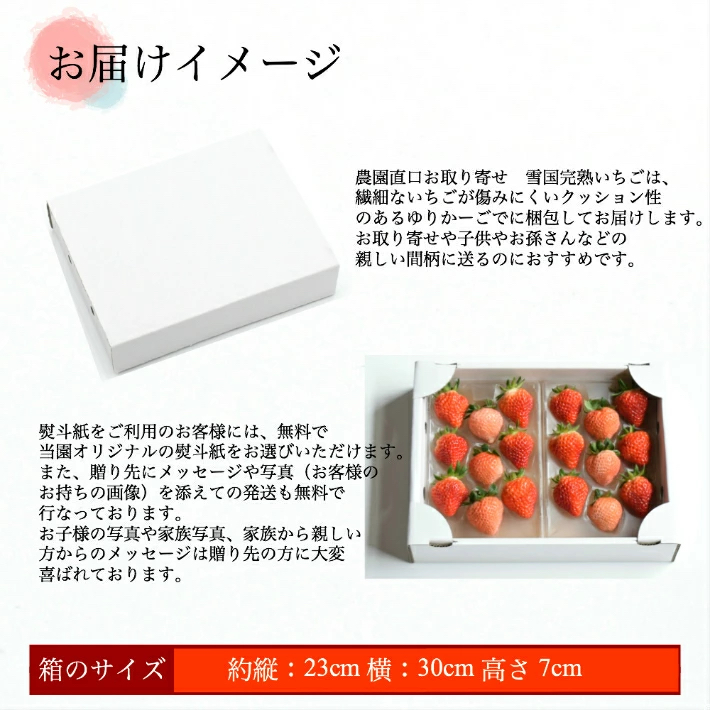 いちご 新潟 雪国完熟越後姫桃薫 約200g×2P食べ比べセット イチゴ 苺 お取り寄せ ギフト 贈り物 上越