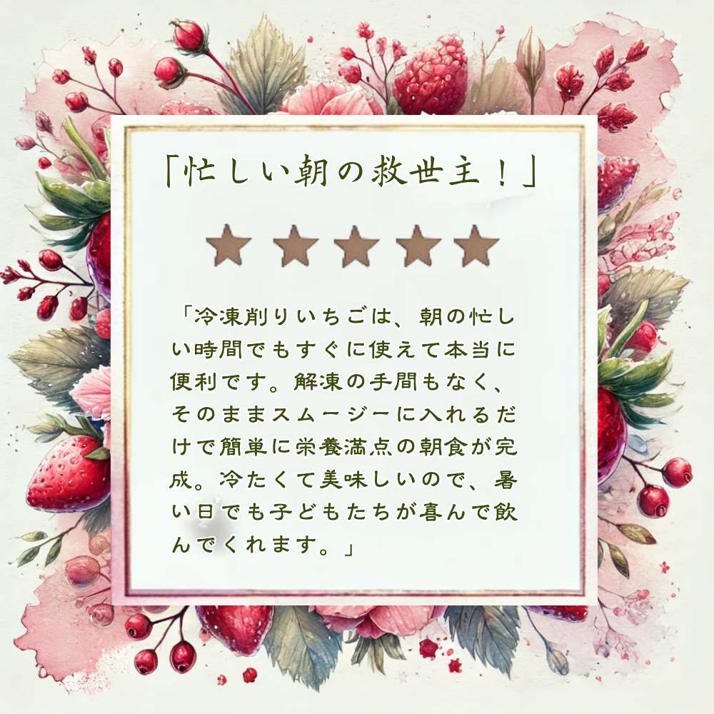 削りいちこ゛越後姫500g×2袋 冷凍 イチゴ 苺 果物 フルーツ 新潟