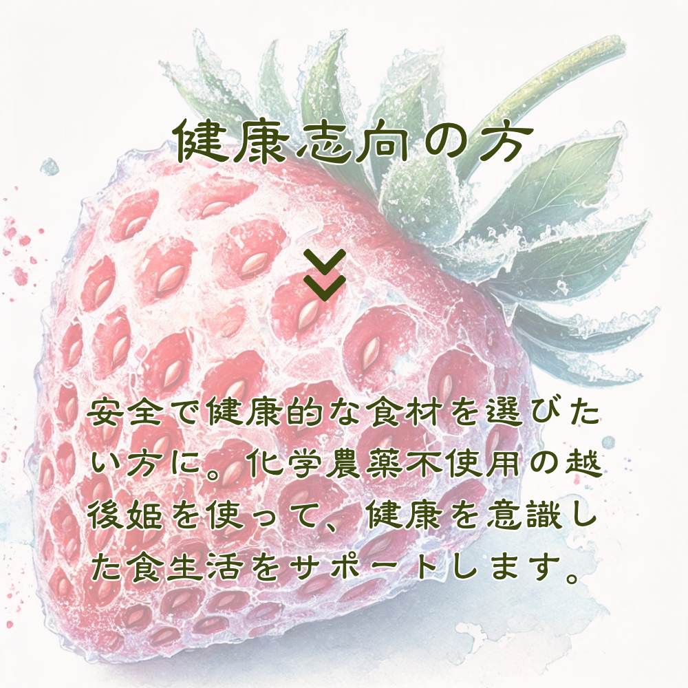 削りいちこ゛越後姫500g×2袋 冷凍 イチゴ 苺 果物 フルーツ 新潟