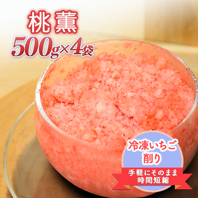 削りいちこ゛桃薫500g×4袋 冷凍 イチゴ 苺 果物 フルーツ 新潟