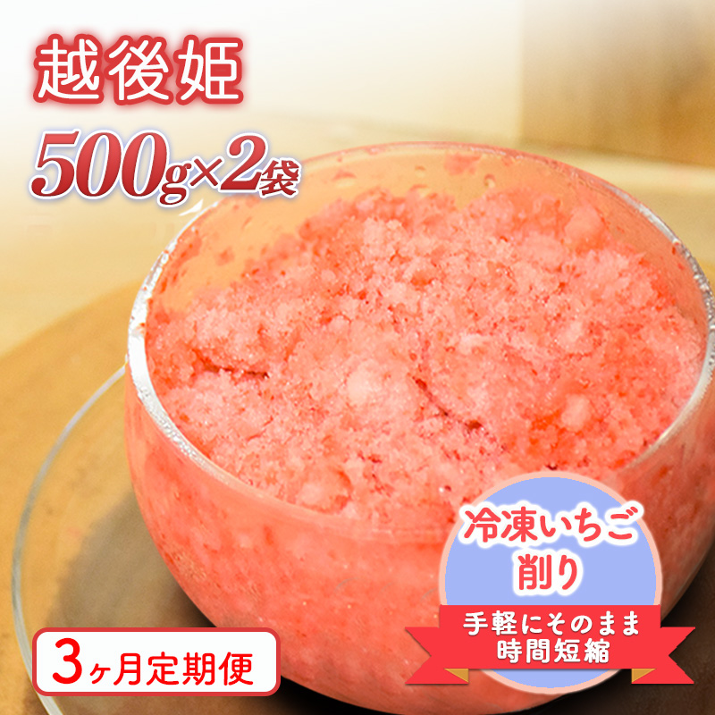 削りいちこ゛越後姫500g×2袋　3ヶ月定期便 冷凍 イチゴ 苺 果物 フルーツ 新潟