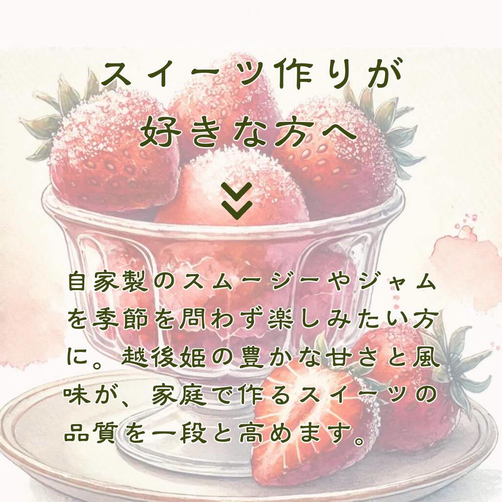 削りいちこ゛越後姫500g×2袋　6ヶ月定期便 冷凍 イチゴ 苺 果物 フルーツ 新潟