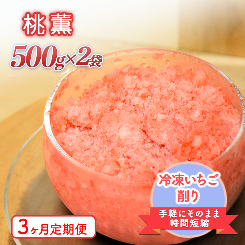 削りいちこ゛桃薫500g×2袋　3ヶ月定期便 冷凍 イチゴ 苺 果物 フルーツ 新潟