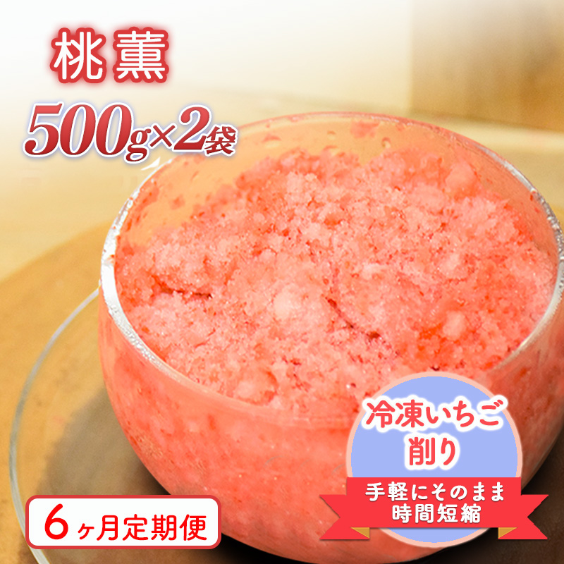 削りいちこ゛桃薫500g×2袋　6ヶ月定期便 冷凍 イチゴ 苺 果物 フルーツ 新潟