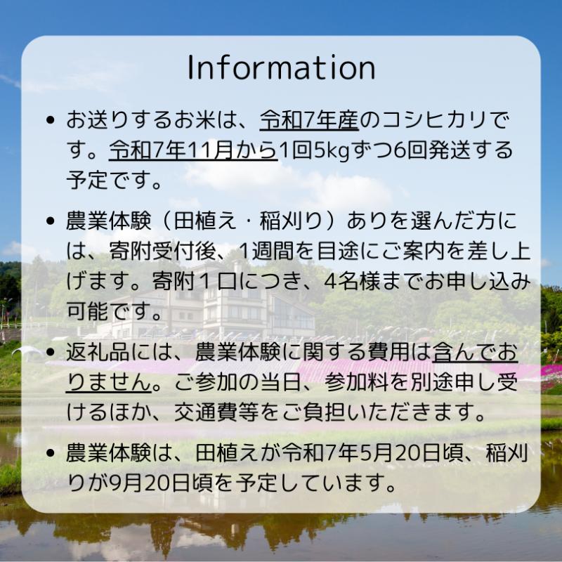 【農業体験参加可能】上越市板倉区棚田米コシヒカリ30kg（精米）定期便　お米は11月より順次配送 新潟県産 米 お取り寄せ ブランド米