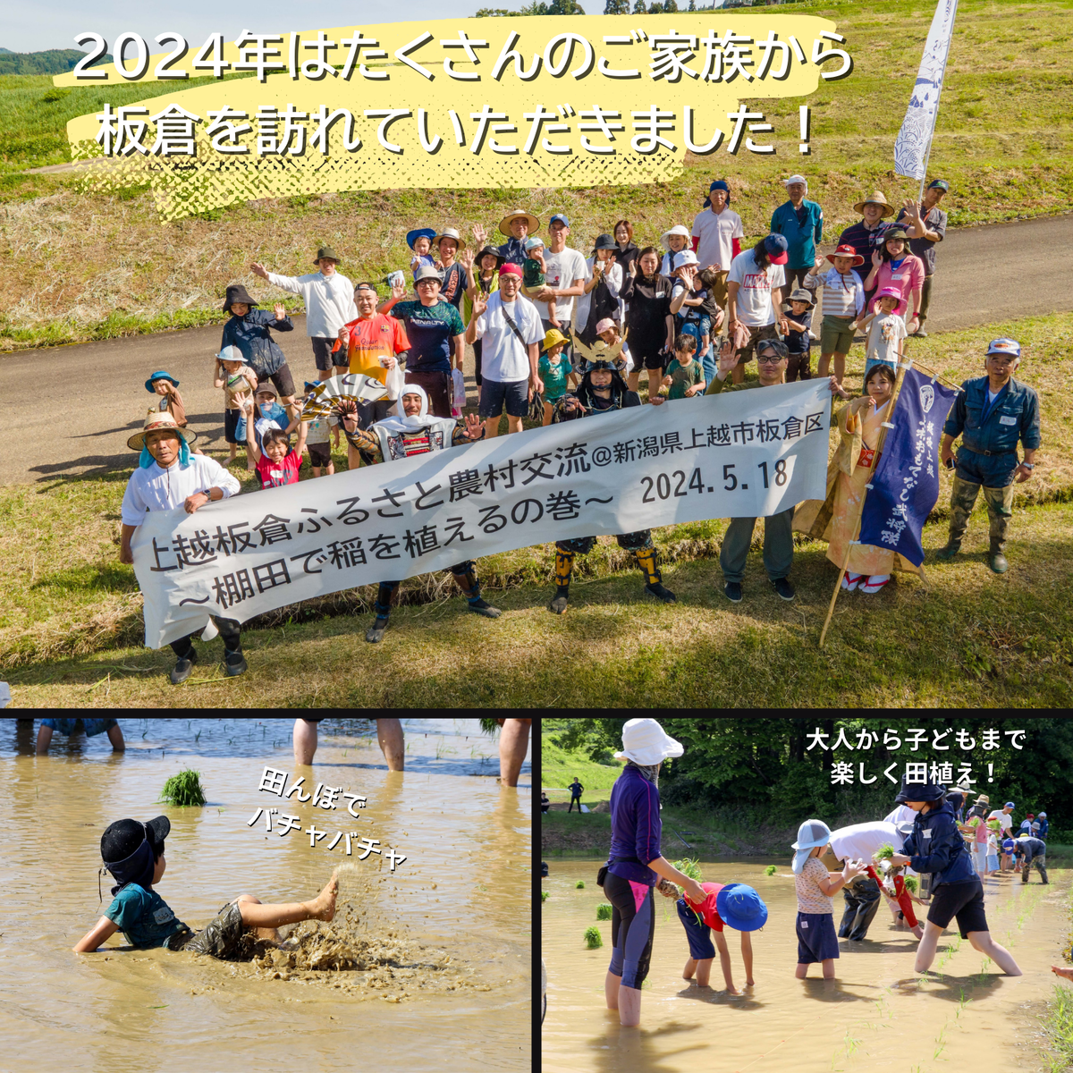 【農業体験参加可能】上越市板倉区棚田米コシヒカリ30kg（精米）定期便　お米は11月より順次配送 新潟県産 米 お取り寄せ ブランド米