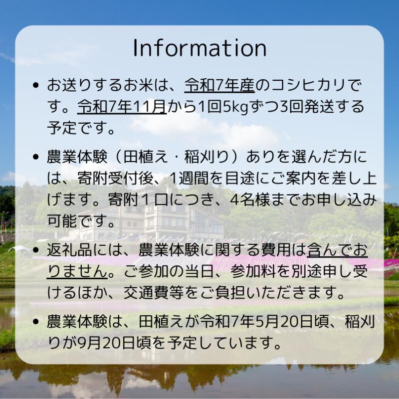 【農業体験参加可能】上越市板倉区棚田米コシヒカリ15kg（精米）定期便 お米は11月より順次配送 新潟県産 米 お取り寄せ ブランド米