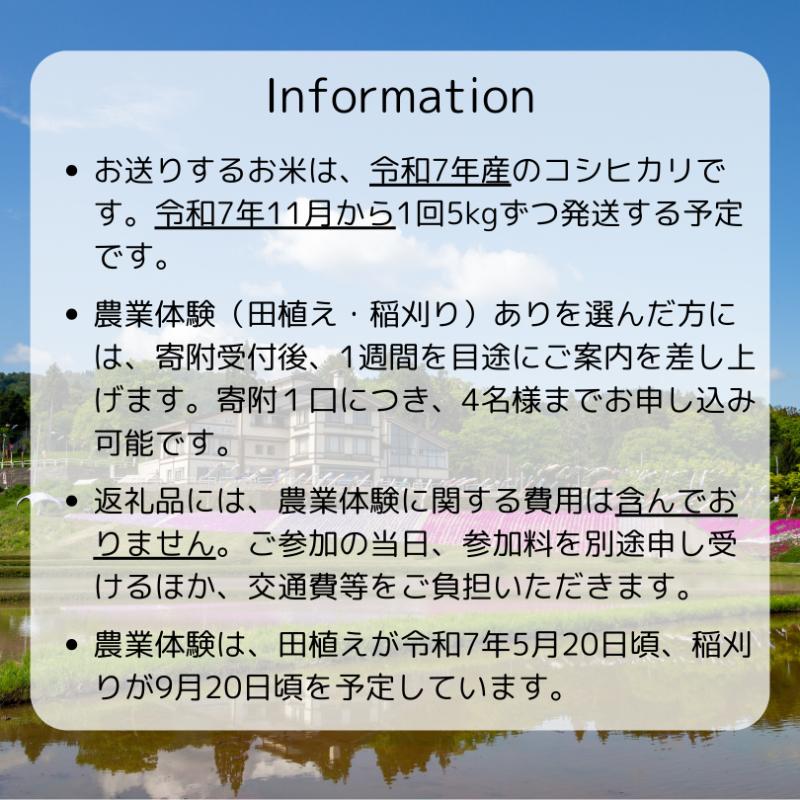 【農業体験参加可能】上越市板倉区棚田米コシヒカリ5kg（精米） お米は11月より順次配送 新潟県産 米 お取り寄せ ブランド米