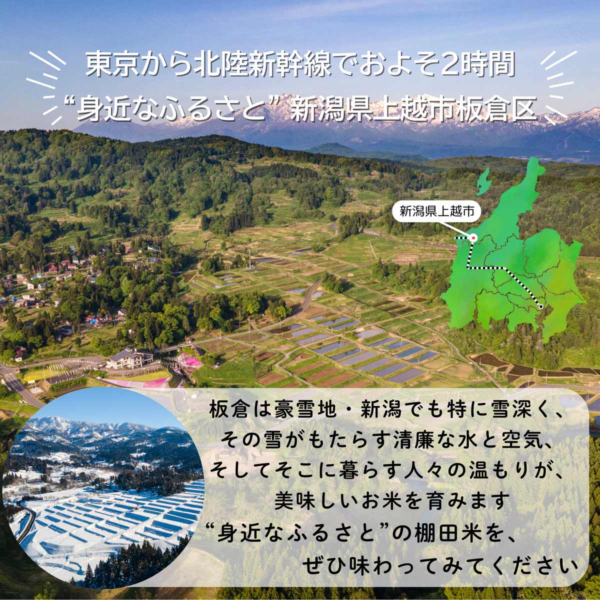 上越市板倉区産棚田米コシヒカリ30kg（精米）定期便 11月より順次配送 新潟県産 米 お取り寄せ ブランド米