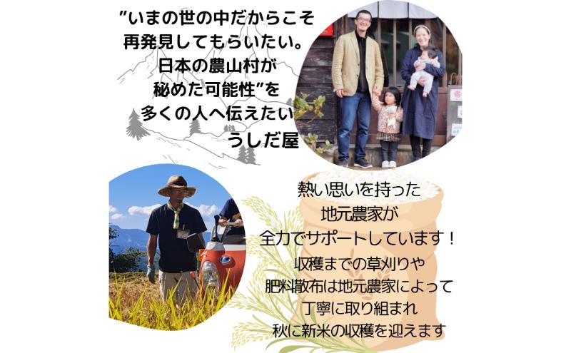 新潟県上越市大島区　棚田オーナー権と農作業体験　令和7年度産コシヒカリ60キロ付き　田植え体験　稲刈り体験