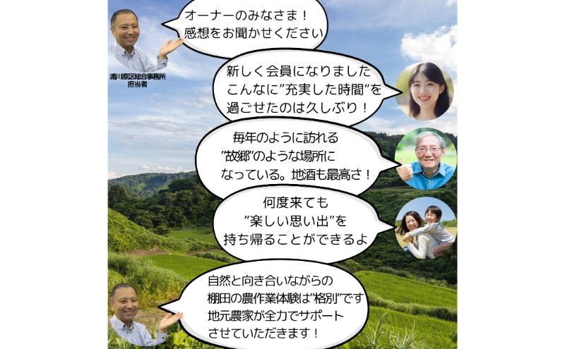 新潟県上越市大島区　棚田オーナー権と農作業体験　令和7年度産コシヒカリ60キロ付き　田植え体験　稲刈り体験