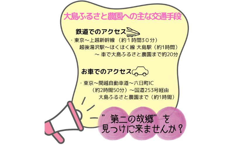 新潟県上越市大島区　棚田オーナー権と農作業体験　令和7年度産コシヒカリ60キロ付き　田植え体験　稲刈り体験