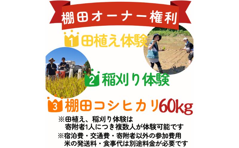 新潟県上越市大島区　棚田オーナー権と農作業体験　令和7年度産コシヒカリ60キロ付き　田植え体験　稲刈り体験