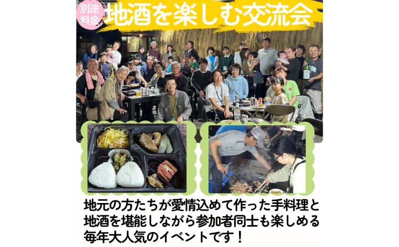 新潟県上越市大島区　棚田オーナー権と農作業体験　令和7年度産コシヒカリ60キロ付き　田植え体験　稲刈り体験