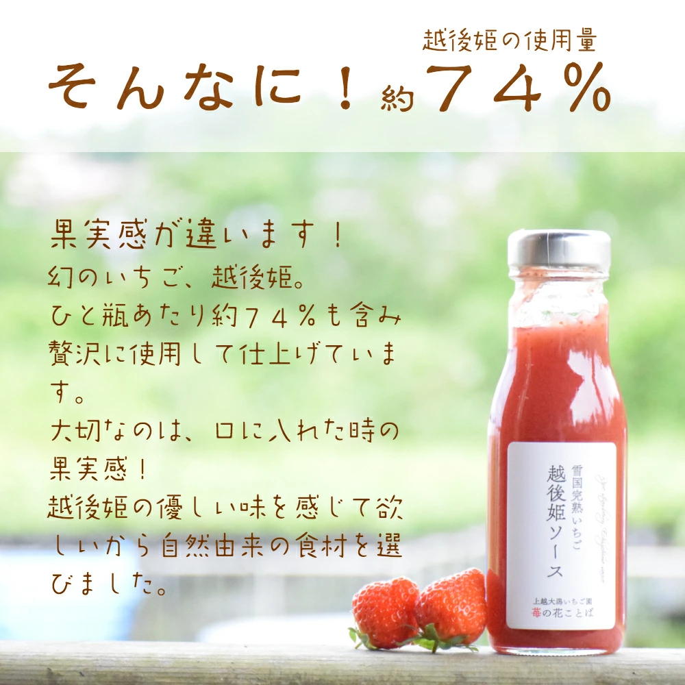 越後姫ソース（大瓶）　5瓶 いちご イチゴ 苺 加工品 お取り寄せ 新潟