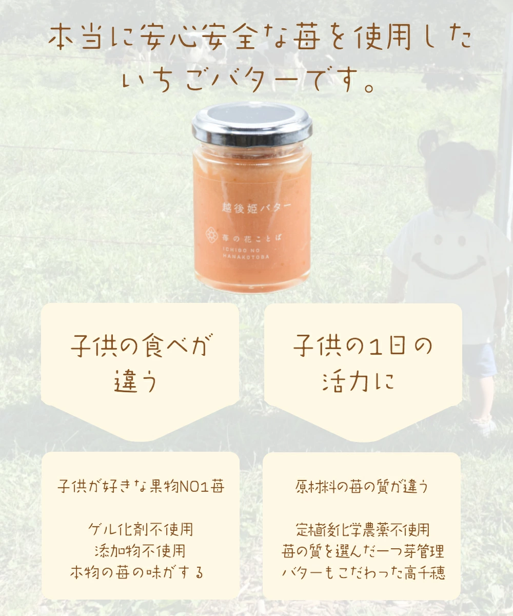 越後姫バター3瓶 いちご イチゴ 苺 加工品 お取り寄せ 新潟