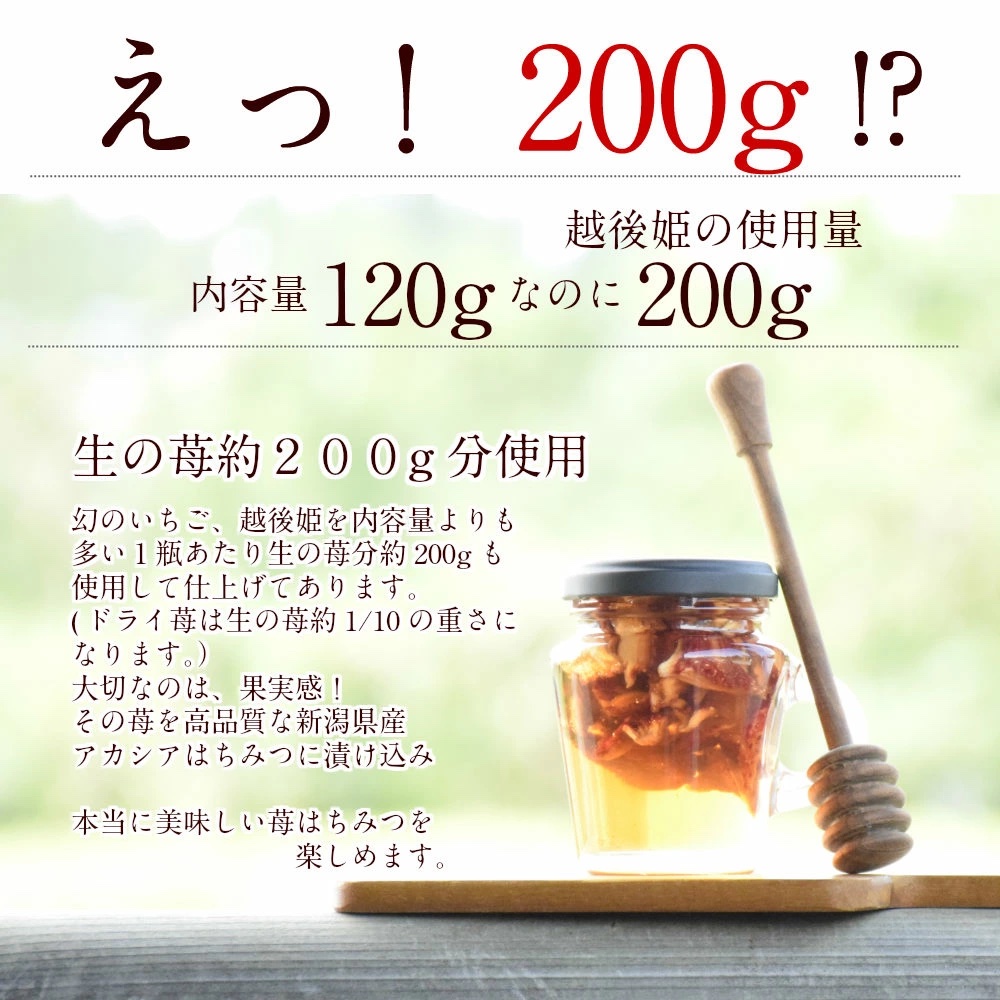 苺はちみつ（取手付き）5瓶 いちご イチゴ 苺 加工品 お取り寄せ 新潟