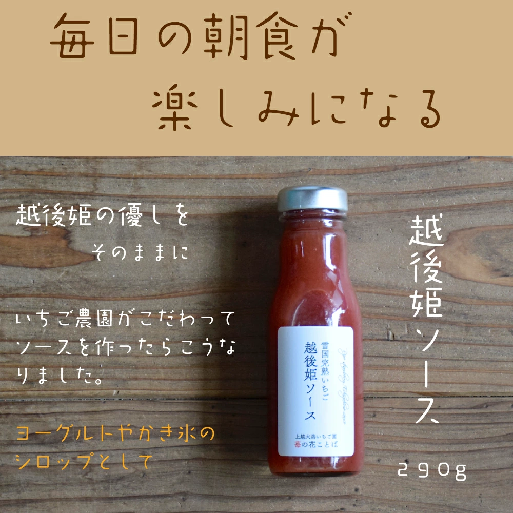 越後姫ジャム・バター・ソース（大瓶）・苺はちみつ（取手付き）各種3瓶セット いちご イチゴ 苺 加工品 お取り寄せ 新潟