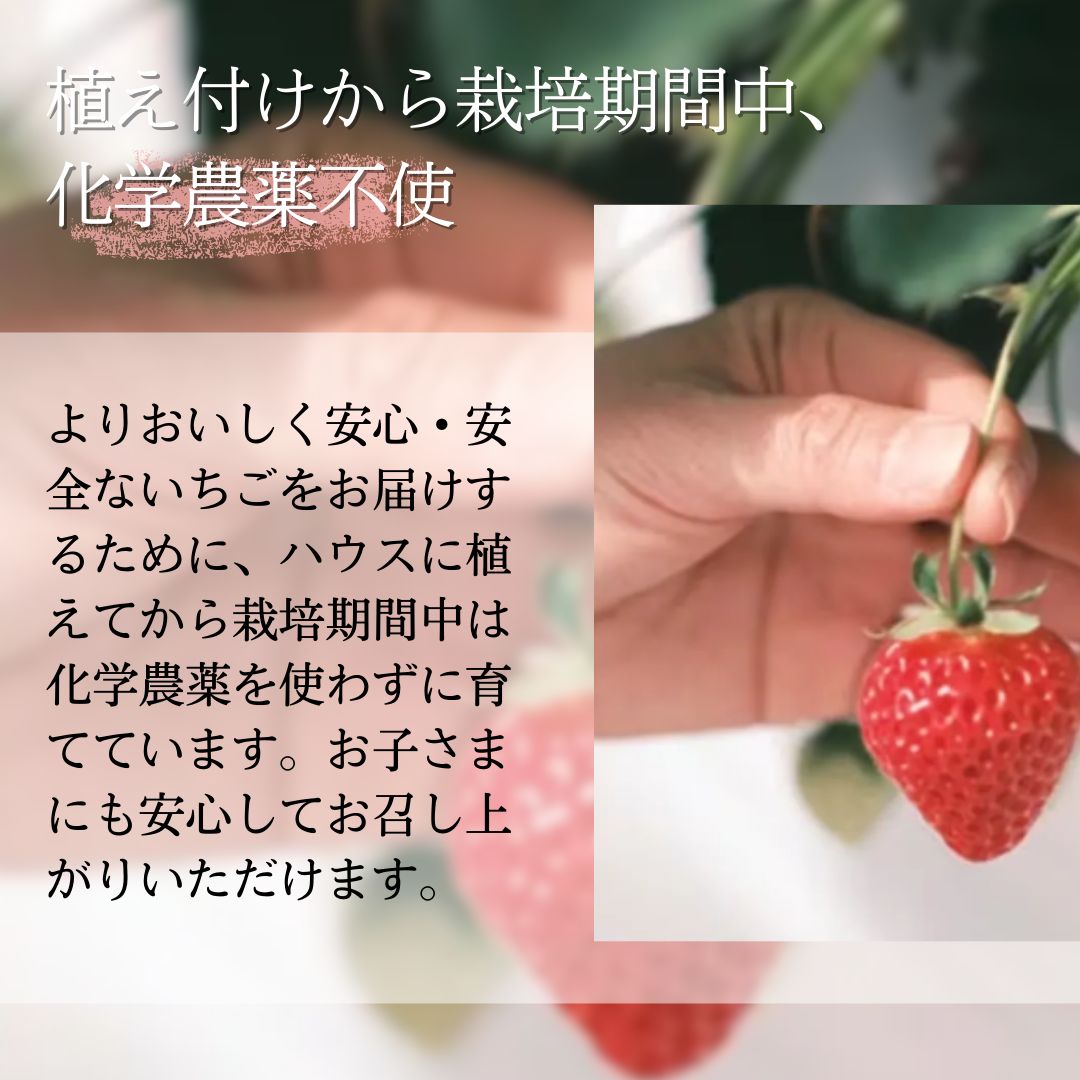縺縺。縺 雜雁セ悟ァォ 繧ク繝」繝 190gテ2蛟 縺九i縺繧医m縺薙カ雜雁セ悟ァォ 繧、繝√ざ 闍コ 螳壽、榊セ悟喧蟄ヲ霎イ阮ャ荳堺スソ逕ィ 貂。霎コ霎イ蝨 荳願カ雁ク 譁ー貎溽恁