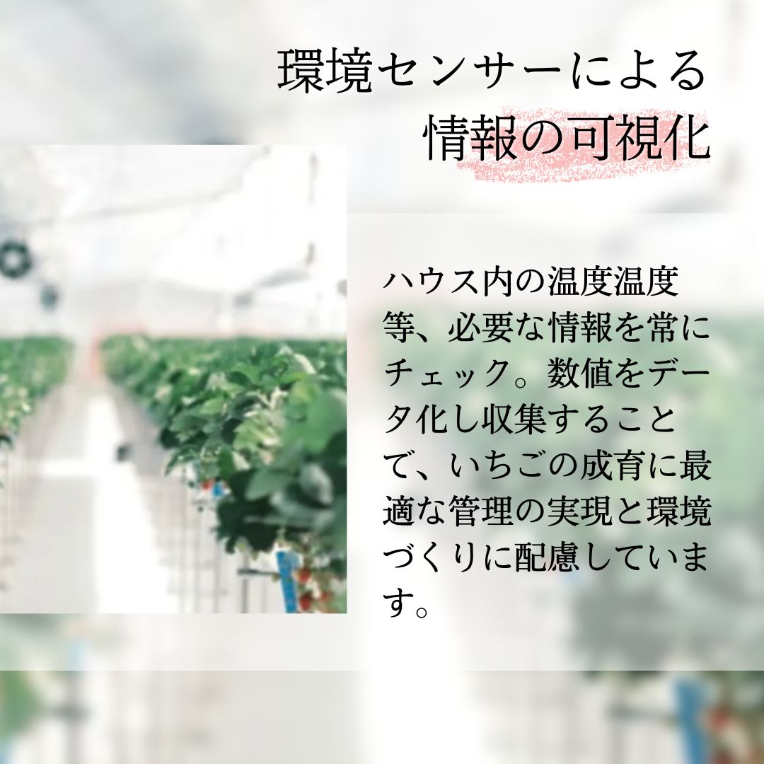 縺縺。縺 雜雁セ悟ァォ 繧ク繝」繝 190gテ2蛟 縺九i縺繧医m縺薙カ雜雁セ悟ァォ 繧、繝√ざ 闍コ 螳壽、榊セ悟喧蟄ヲ霎イ阮ャ荳堺スソ逕ィ 貂。霎コ霎イ蝨 荳願カ雁ク 譁ー貎溽恁