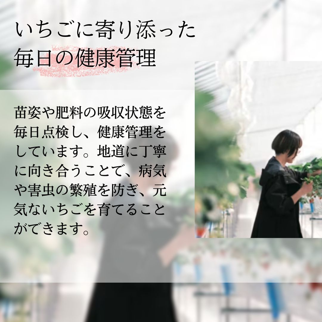 縺縺。縺 雜雁セ悟ァォ 繧ク繝」繝 190gテ2蛟 縺九i縺繧医m縺薙カ雜雁セ悟ァォ 繧、繝√ざ 闍コ 螳壽、榊セ悟喧蟄ヲ霎イ阮ャ荳堺スソ逕ィ 貂。霎コ霎イ蝨 荳願カ雁ク 譁ー貎溽恁