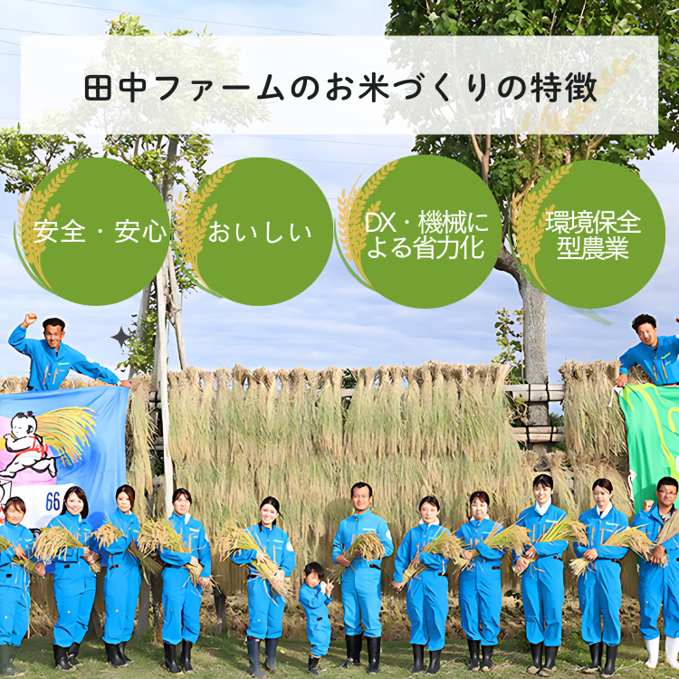 上越市産 新潟 コシヒカリ　5kg×2　2か月定期便 上越市 精米 米 コメ こしひかり ブランド米