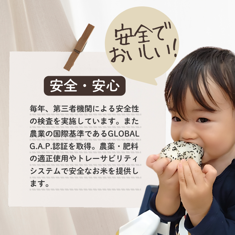 上越市産 新潟 コシヒカリ　5kg×2　2か月定期便 上越市 精米 米 コメ こしひかり ブランド米