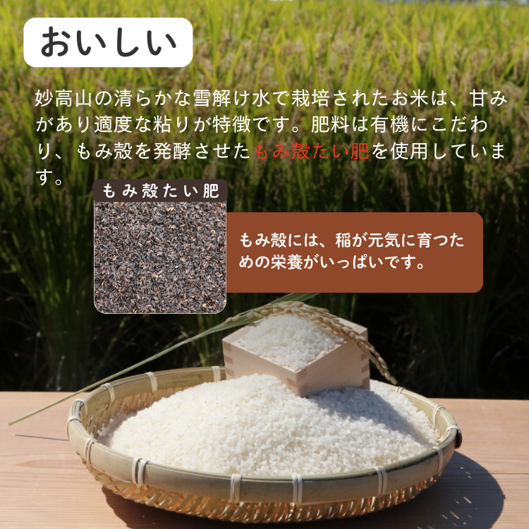 上越市産 新潟 コシヒカリ　5kg×2　2か月定期便 上越市 精米 米 コメ こしひかり ブランド米