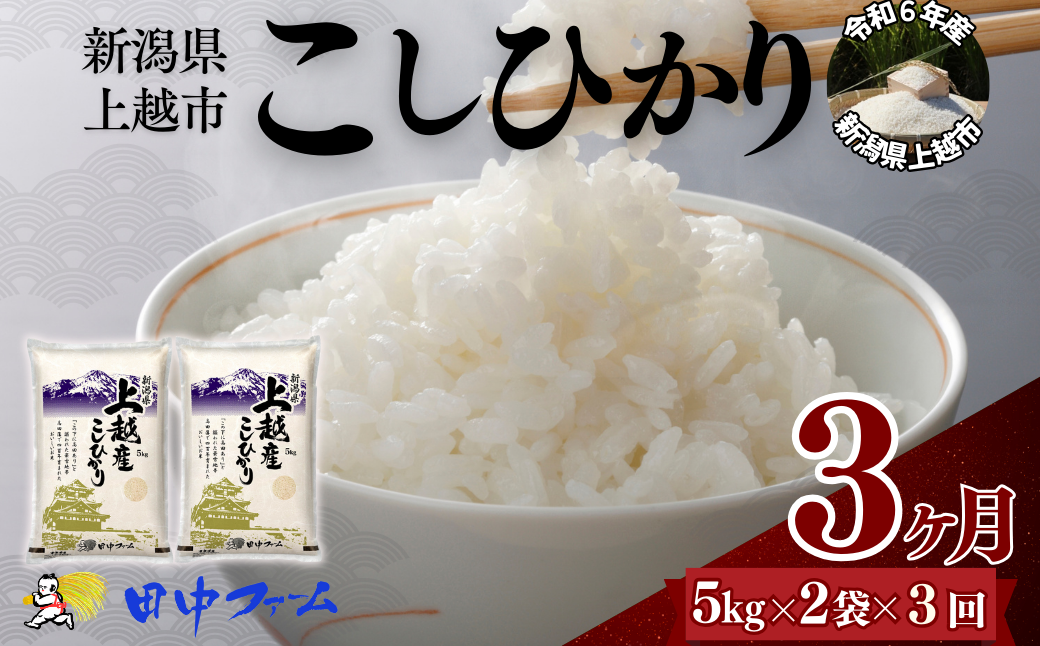 上越市産 新潟 コシヒカリ　5kg×2 3か月定期便  上越市 精米 米 コメ こしひかり ブランド米