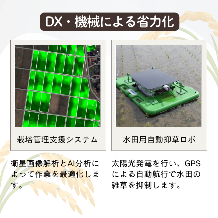 上越市産 新潟 コシヒカリ　5kg×2 3か月定期便  上越市 精米 米 コメ こしひかり ブランド米