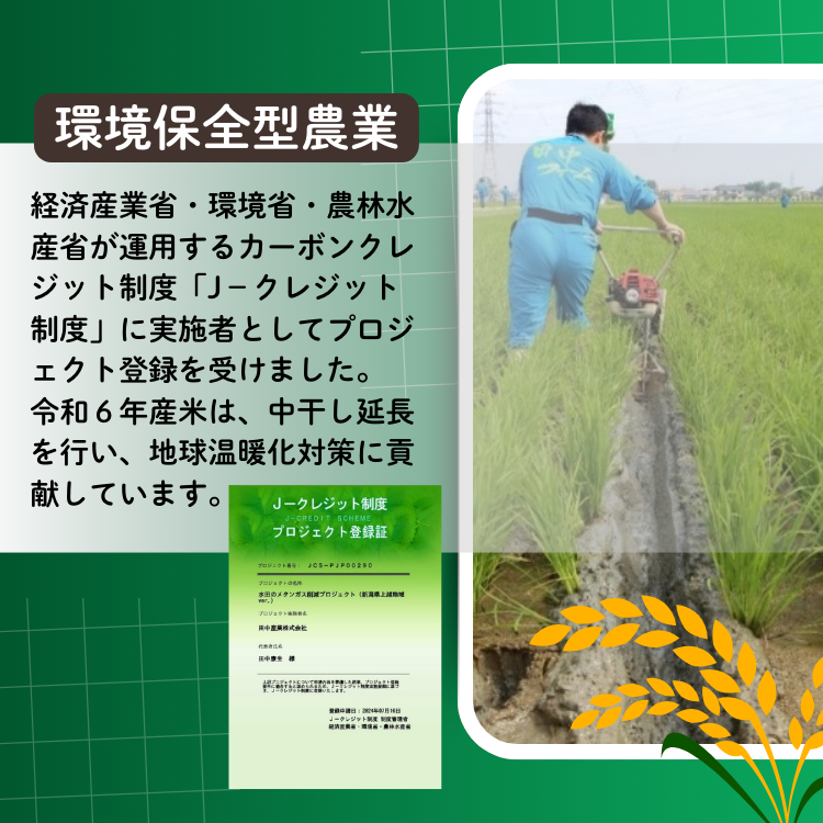 上越市産 新潟 コシヒカリ　5kg×2 3か月定期便  上越市 精米 米 コメ こしひかり ブランド米