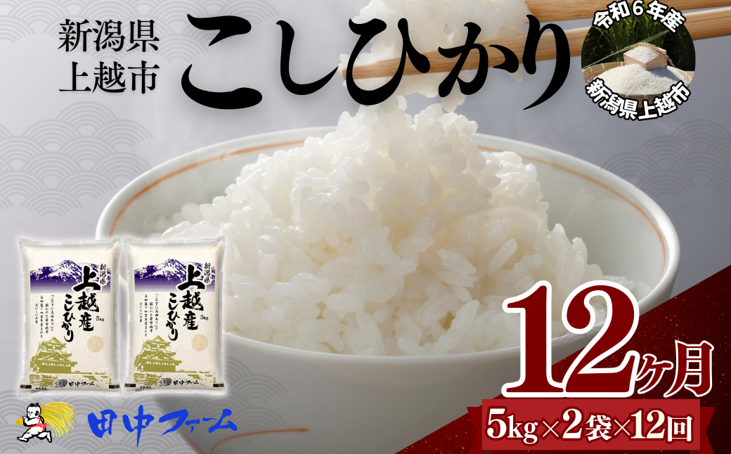 上越市産 新潟 コシヒカリ　5kg×2 12か月定期便  上越市 精米 米 コメ こしひかり ブランド米