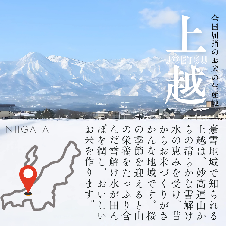 上越市産 新潟 コシヒカリ　5kg 2か月定期便 上越市 精米 米 コメ こしひかり ブランド米