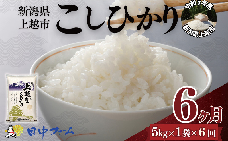 上越市産 新潟 コシヒカリ　5kg 6か月定期便 上越市 精米 米 コメ こしひかり ブランド米