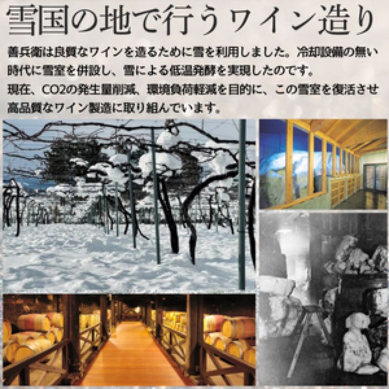 小説「葡萄色の夢を追いかけて」＆岩の原ワイン善赤白特別セット ワイン 赤 白 小説 セット 上越市 新潟