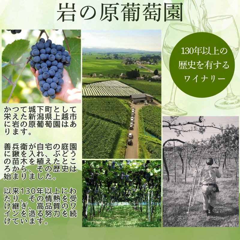 小説「葡萄色の夢を追いかけて」＆岩の原ワイン善赤白特別セット ワイン 赤 白 小説 セット 上越市 新潟
