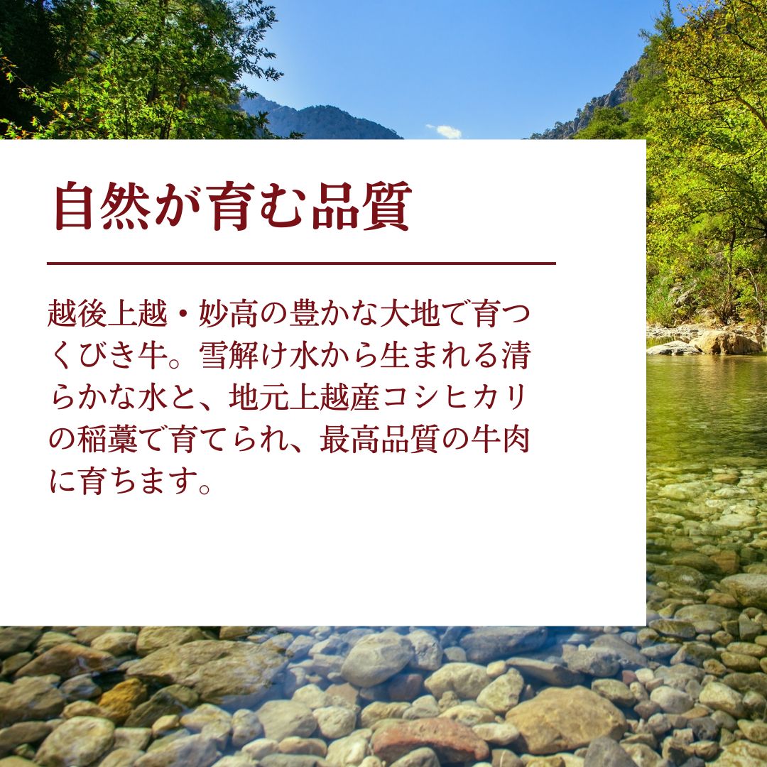 縺上ウ縺咲央縲蛻繧願誠縺ィ縺500g縲荳願カ翫迚幄i