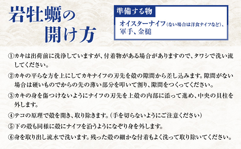 水揚げ当日発送 生食用 天然 岩牡蠣 約4.5kg(4～5人前/19～21個) 新潟 上越産 手採り プリプリ 濃厚 海鮮 BBQ 送料無料 岩ガキ 牡蠣