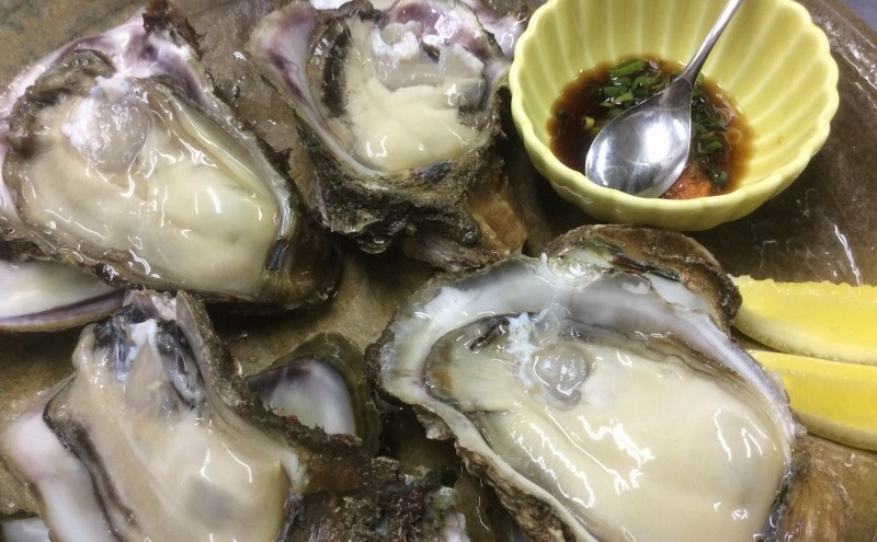水揚げ当日発送 生食用 天然 岩牡蠣 約4.5kg(4～5人前/19～21個) 新潟 上越産 手採り プリプリ 濃厚 海鮮 BBQ 送料無料 岩ガキ 牡蠣