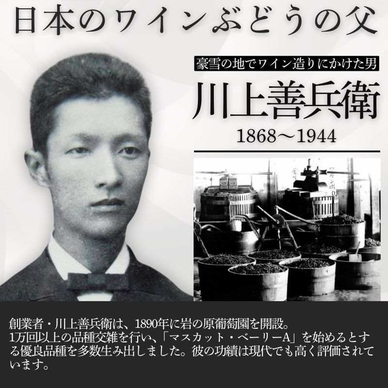 ワイン 岩の原ワイン ブラック・クイーン ( 赤ワイン 720ml ) お酒 岩の原 ふるさと納税 酒 新潟 上越