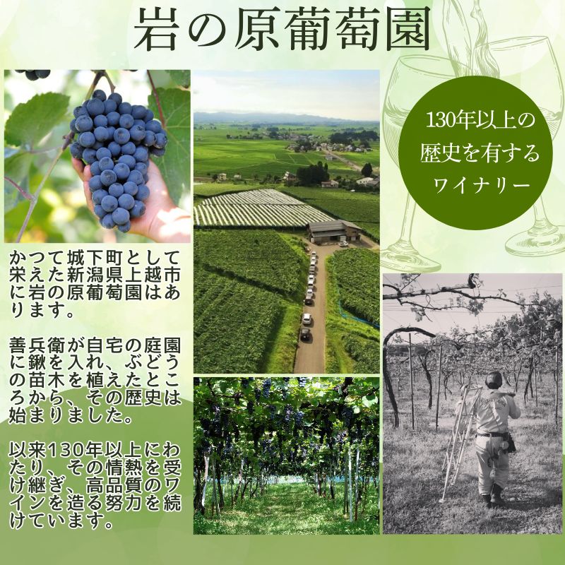 ワイン 岩の原ワイン ブラック・クイーン ( 赤ワイン 720ml ) お酒 岩の原 ふるさと納税 酒 新潟 上越