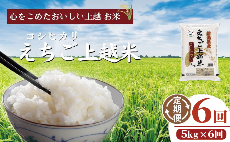 令和7年 新米 新潟県産コシヒカリ えちご上越米　定期便 【6ヶ月連続お届け】5kg×6回 30kg 新潟 米 新潟県 こしひかり 限定 おすすめ