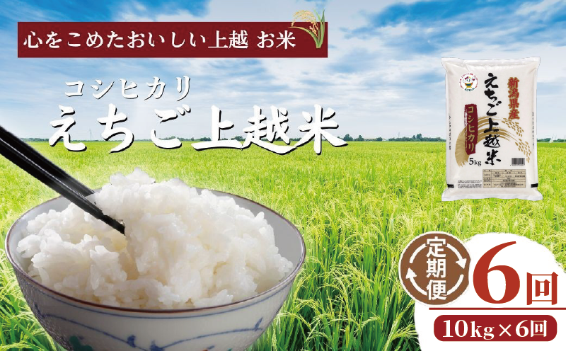 令和7年  新潟県産コシヒカリ えちご上越米　定期便 【6ヶ月連続お届け】10kg×6回 60kg 新潟 米 新潟県 こしひかり 限定 おすすめ