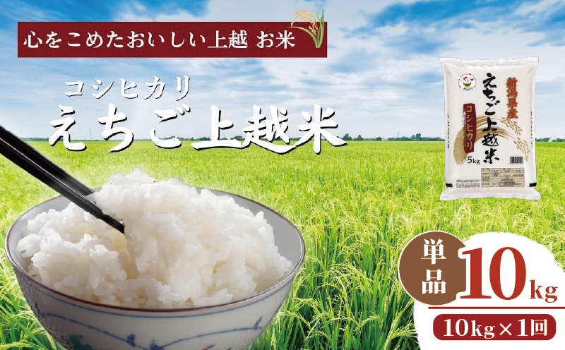 令和7年  新潟県産コシヒカリ えちご上越米 10kg 新潟 米 新潟県 こしひかり 限定 おすすめ