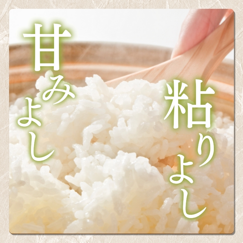 米 コシヒカリ えちご上越米 5kg 令和7年産 お米 新米 白米 精米 単一原料米 新潟県産