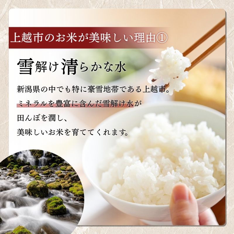 【えちご上越米】令和7年産 新潟県上越産 コシヒカリ 10kg×3回 30kg 定期便 精米 こしひかり JAえちご上越